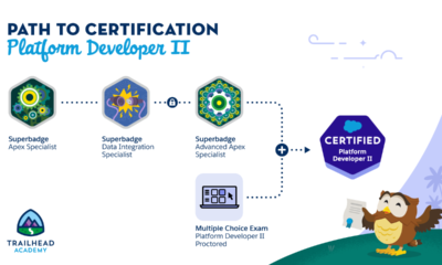 PDII Certification Unveiled: What You Need to Know to Excel in Salesforce Architecture