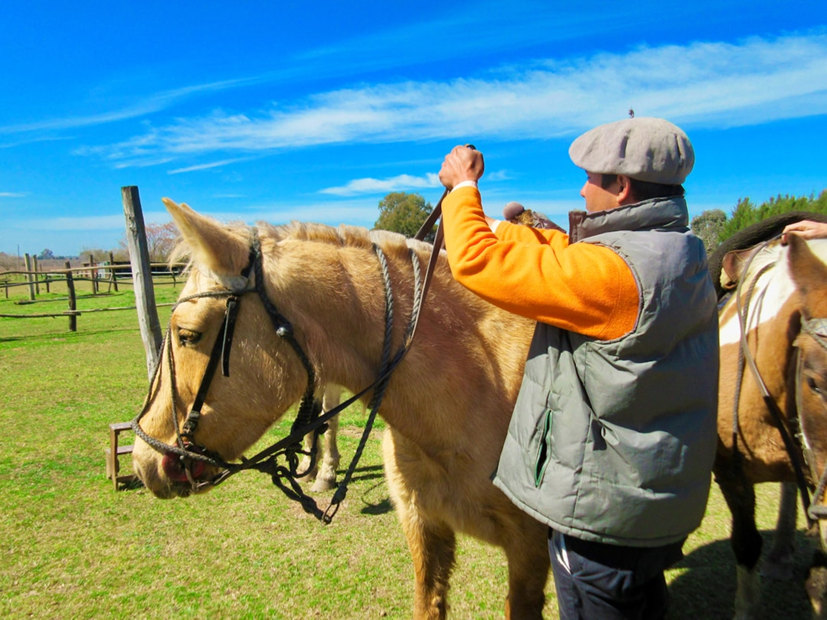 The Ultimate Guide to Starting a Successful Commercial Horse Ranch