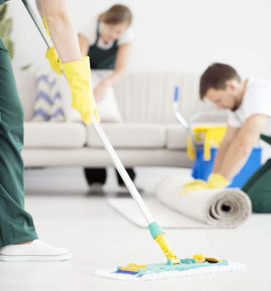 Advantages of Using a Professional House Cleaner in Carlisle