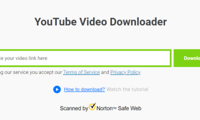 Comprehensive Guide to YouTube Video Downloader SaveFrom.net
