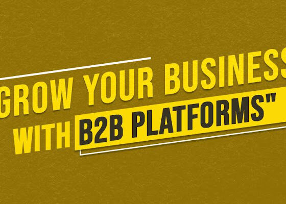 Maximize Your Reach: Growing Your Business through B2B Platforms