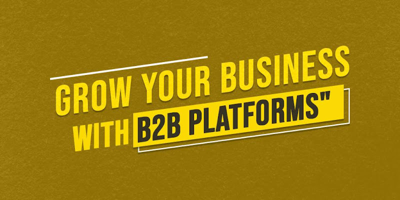 Maximize Your Reach: Growing Your Business through B2B Platforms