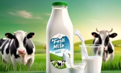 WellHealthOrganic Buffalo Milk Tag: A Creamy Delight for Health Enthusiasts