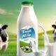 WellHealthOrganic Buffalo Milk Tag: A Creamy Delight for Health Enthusiasts