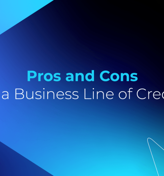 Pros & Cons of a Business Line of Credit